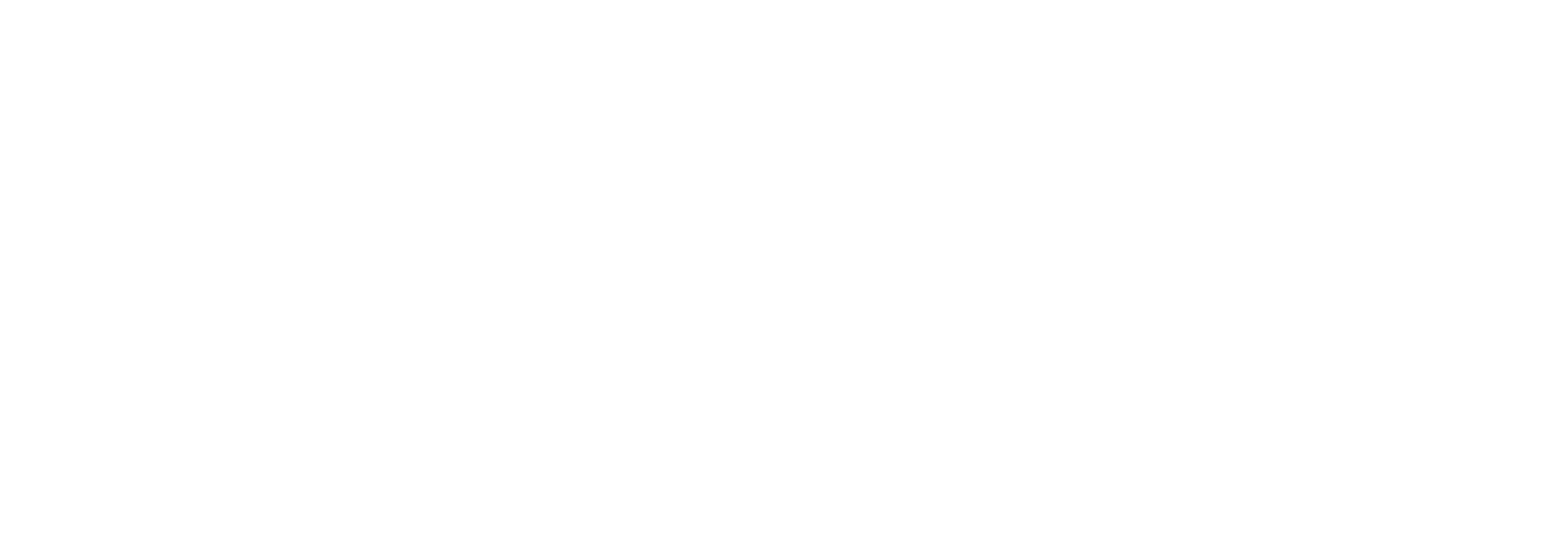 The Loco Burger